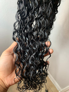 Burmese Curly